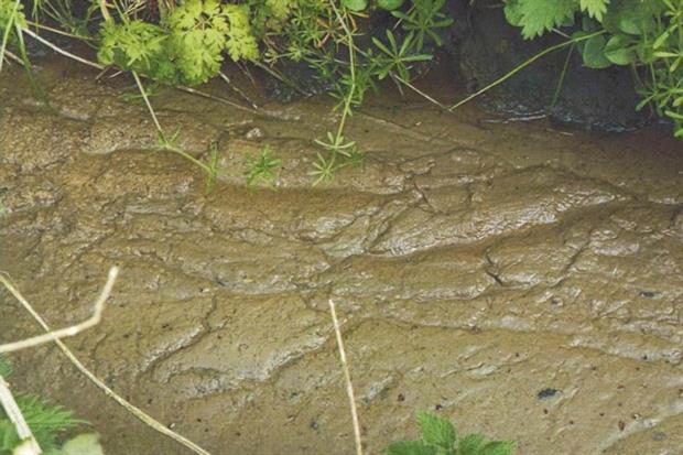 A brown, foamy effluent ran from the pub’s sewage plant into a nearby stream (photo: Environment Agency)