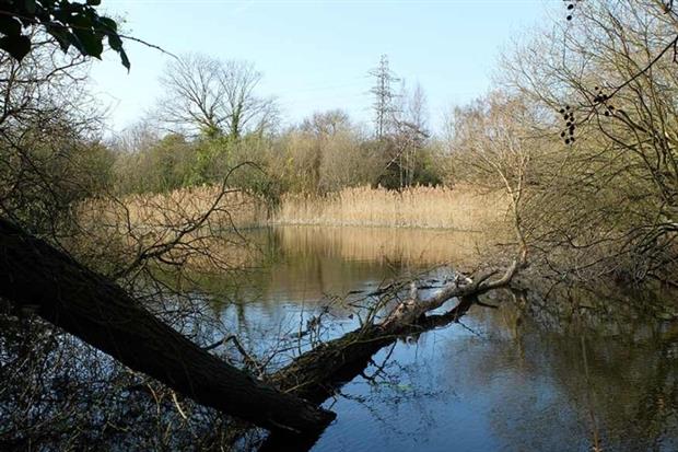 National Grid plans to better manage its unused land (copyright: AECOM)