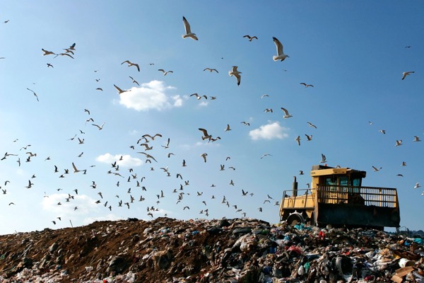 The lower rate of landfill tax is £2.60/t. Photograph: PN Photo/123RF