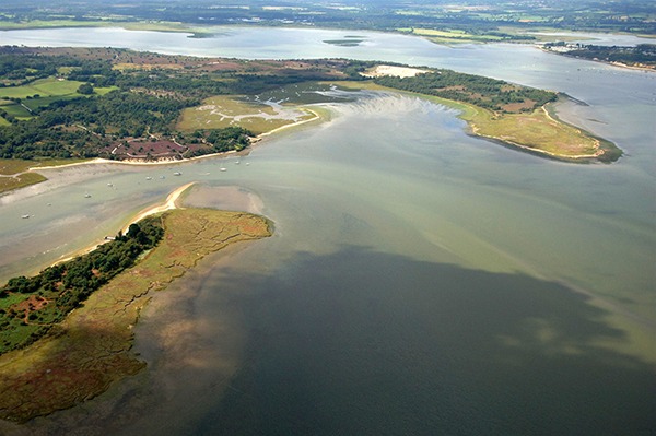 A Natura 2000 site in Poole Harbour was one of the sensitive areas under consideration in the judicial review Photo: David Wootton/RSPB
