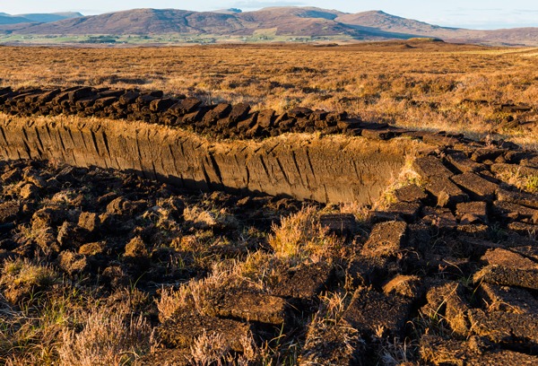 Scotland's peatlands sequester large amounts of atmospheric carbon. Photograph: Daniel Kloeg/123RF