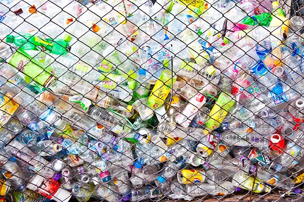 Photograph: Chakkapong Benjasuwan/123RF