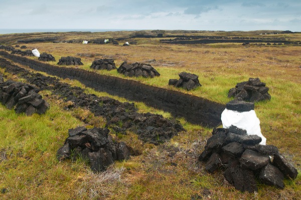 UK peatlands sequester more carbon than forests. Photograph: Guillermo Avello/123RF