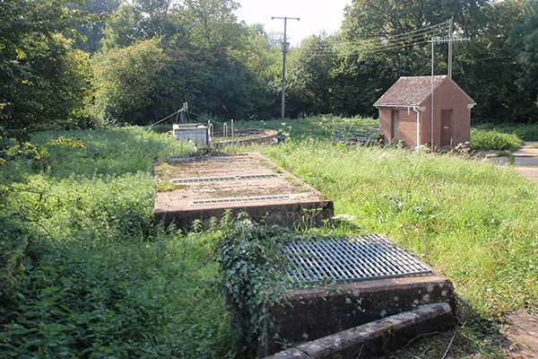 Environment Agency officers spotted sewage fungus in the Craddock stream. Photograph: Environment Agency
