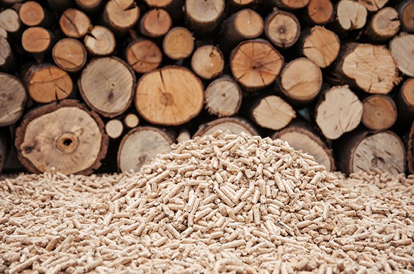 Approval of government support for the Lynemouth biomass conversion has boosted prospects in the sector. Photograph: Tatyana Aleksieva-Sabeva/123RF