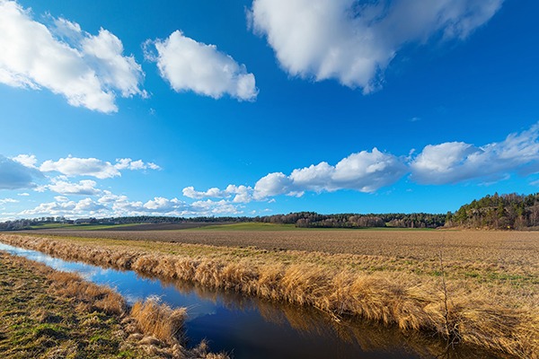 Photograph: Stefan Holm/123RF