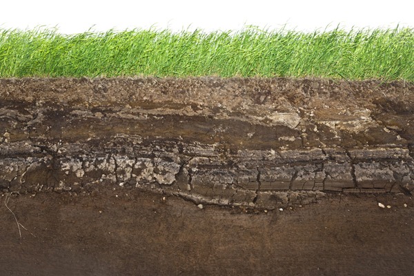Photograph: Jon Helgason/123RF