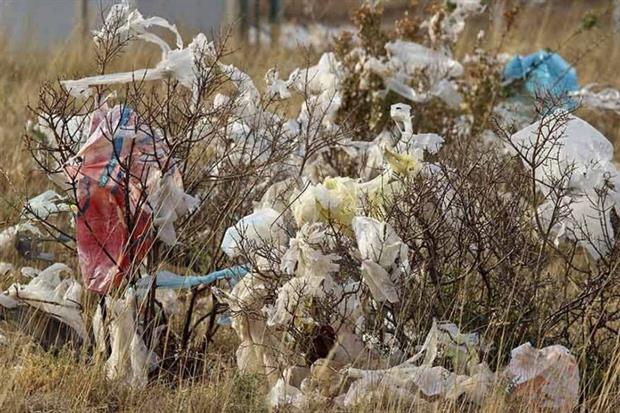 DEFRA is yet to come to a decision on oxo-biodegradable bags. Photograph: Aleksej-Orel/123RF