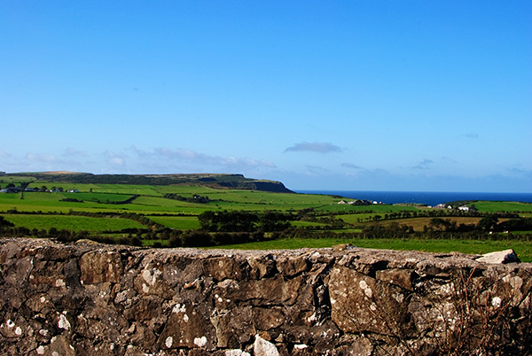 Northern Ireland has relatively high shares of emissions from agriculture and land use. Photograph: Lisa Williams/CC BY 2.0