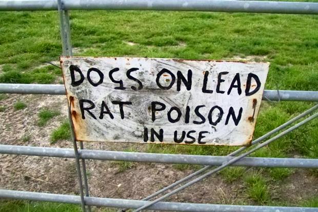 ECHA may recommend that the well-known rodenticide Warfarin is banned. Photograph: Peter O'Connor CC BY-SA 2.0