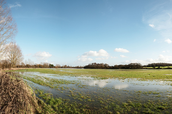 More land is to be defended against floods, potentially shifting the problem downstream. Photograph: Jason Salmon/123RF