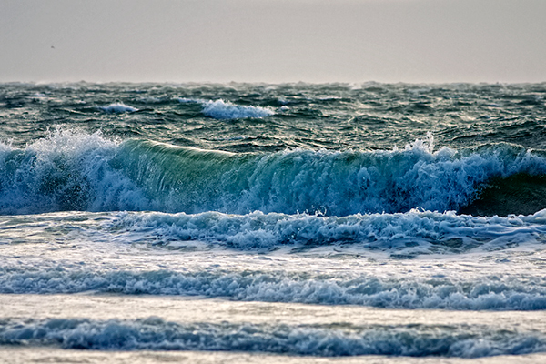 Coastal waters have been affected by attempts to reduce eutrophication. Photograph: Michiel Jelijs/CC BY-2.0