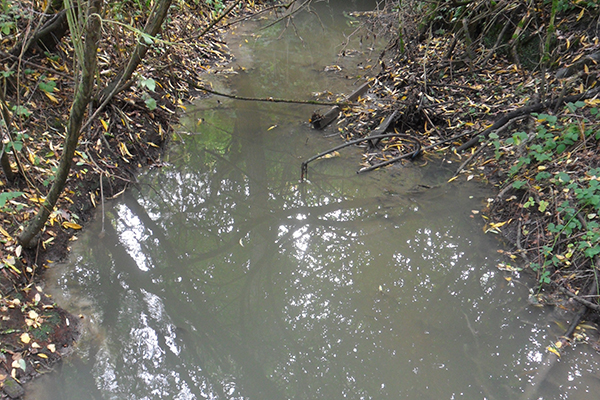A sewage pipe from Yorkshire Water’s Shay Lane pumping station burst, killing hundreds of fish. Photograph: Environment Agency