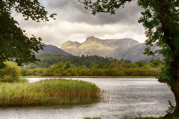 Photograph: Steven Heap/123RF