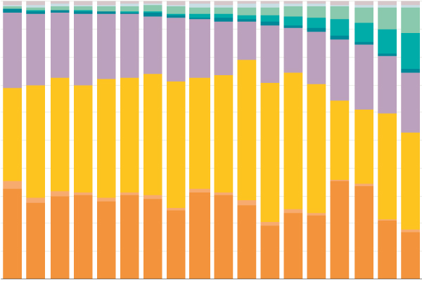 Infographic icon