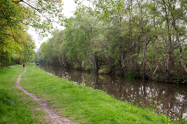 63 woodlands will be affected by phase one of HS2. Photograph: Dan Lee