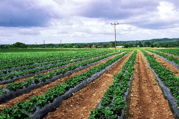 Photograph: Rosalind Mitchell/geograph.org.uk