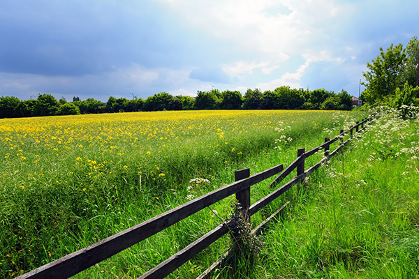 Natural capital on UK farmland is being degraded. Photograph:Wajan/123RF