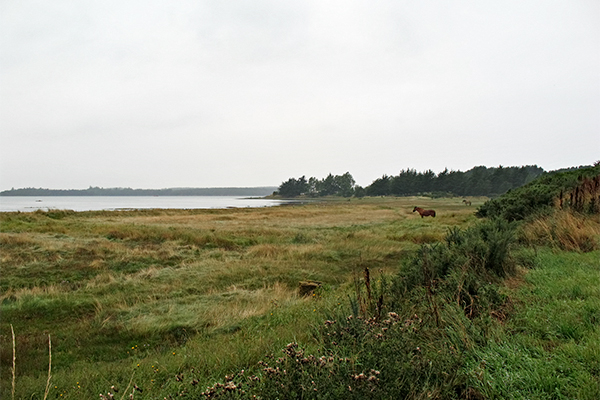 Moray land formerly owned by the MoD has contaminated with radium-226 from aircraft maintenance and decommissioning. Photograph: Scott/Flickr
