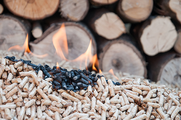 Biomass pellets used as fuel in biomass boilers. Photograph: Tatyana Aleksieva-Sabeva/123RF