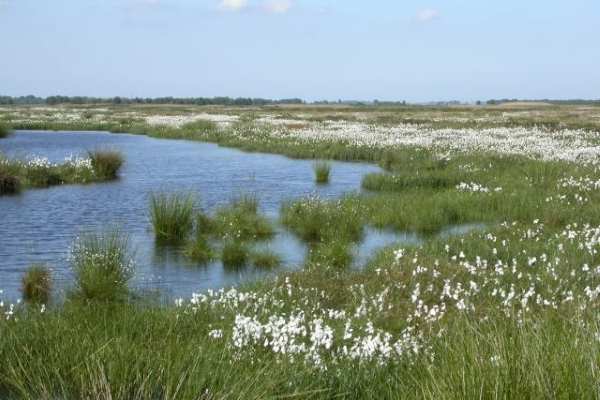 Humberhead levels. Photograph: Natural England CC BY-NC-ND 2.0