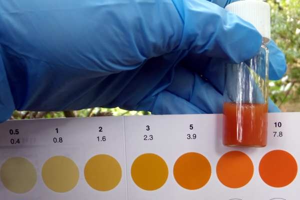 Ammonia levels recorded in the watercourse were grossly polluting. Photograph: Environment Agency
