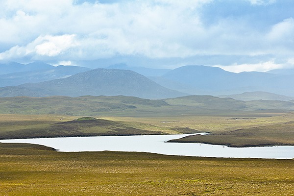 Peatland on the Scottish isle of Lewis. Photograph: Agenturfotografin/123RF