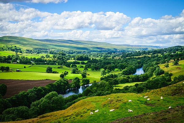 Plans will cover catchments from source to sea. Photograph: Nuttawut Uttamaharad/123RF