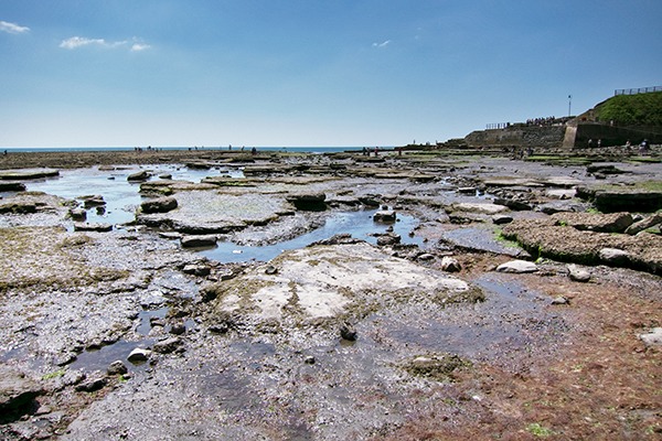 Church Cliff beach in Lyme Regis. Photograph: Paul Albertella/Flickr
