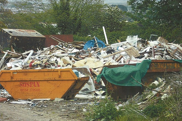 Natural Resource Wales said the crimes had been 'financially motivated'. Photograph: Natural Resources Wales