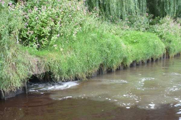 Yorkshire Water discharged sewage illegally into the River Ouse near York. Photograph: Environment Agency