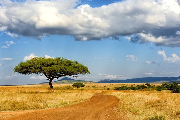 Growing water stress in sub-Saharan Africa could be an 'opportunity for UK business. Photograph: Byrdyak/123RF
