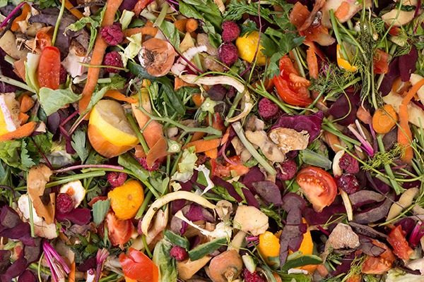 Scotland has released its first guidance for the food waste supply chain. Photograph: Photka/123RF