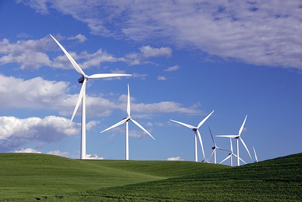 Wind farm developers may need to plan projects carefully. Photograph: Terrance Emerson/123RF