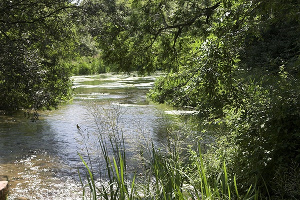 The River Itchen. Photograph: Ian Pitt/123RF