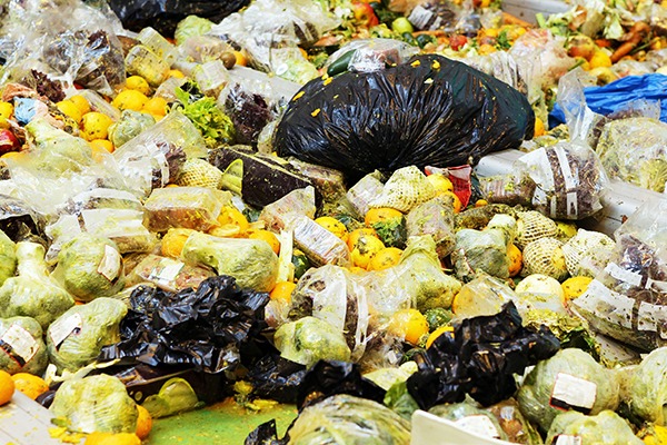 Food waste contributes to about 8% of global greenhouse gas emissions. Photograph: Cylonphoto/123RF