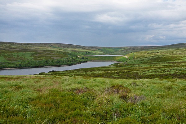 Walshaw Moor is in the South Pennine Moors special area of conservation. Photograph: Tim Green/Flickr