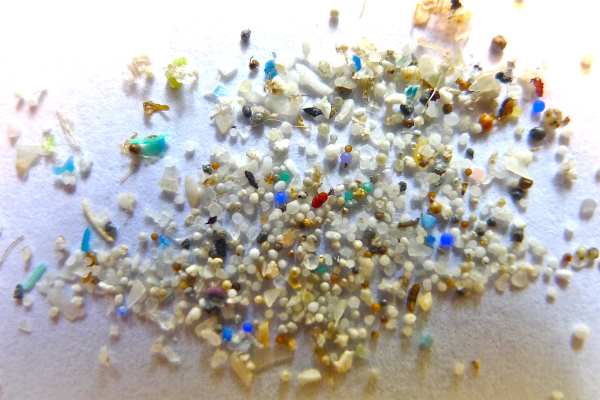 Microbeads' days could be numbered. Photograph: 5Gyres.