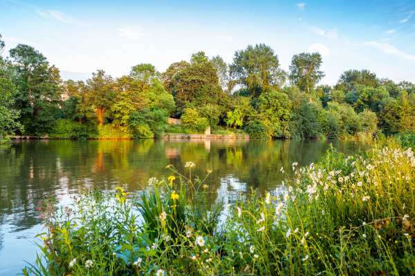 British rivers, such as the Thames, are most threatened by metal pollution. Photograph: Andrei Nekrassov / 123RF