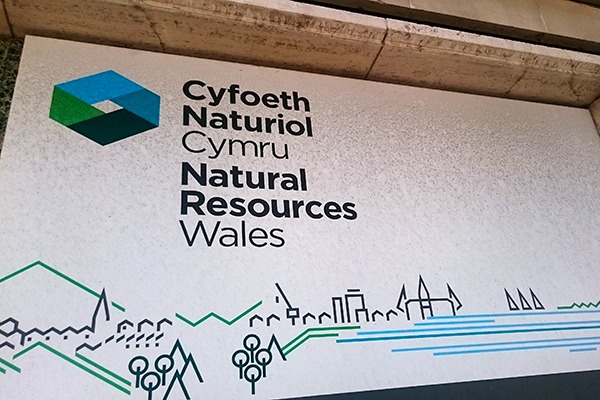 Natural Resources Wales has now been operating for three years. Photograph: Isabella Kaminski