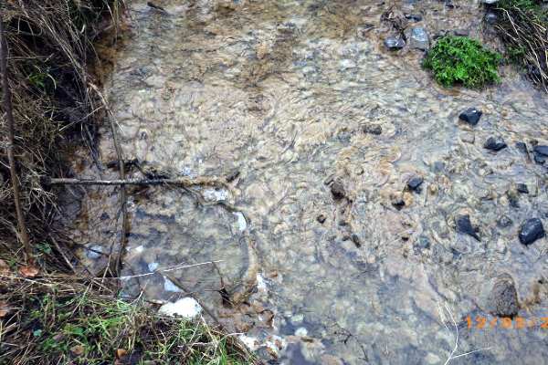 The river was choked with sewage fungus. Photograph: Environment Agency