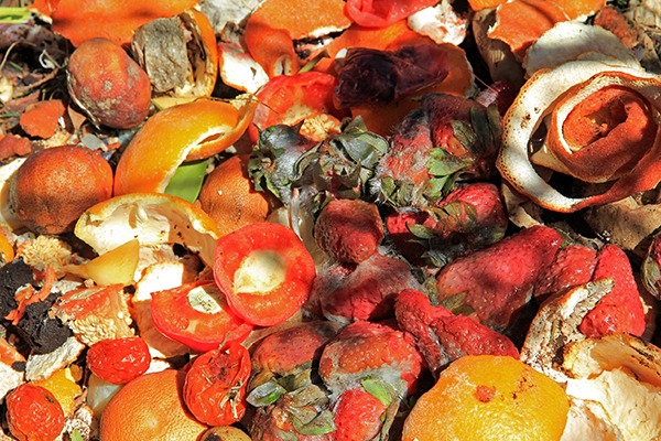 Approximately 8 million tonnes of food is wasted in the UK post-manufacture each year. Photograph Astrid Gast123RF