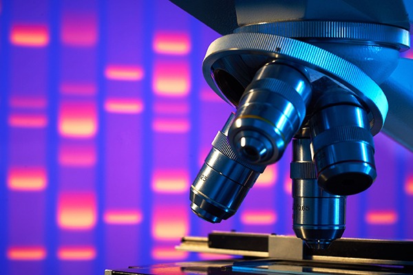 The regulatory use of DNA evidence is growing. Photograph: 18percentgrey/123RF