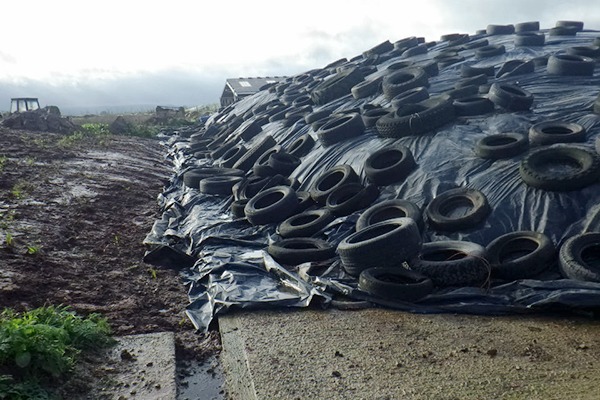 The clamp made from tarpaulin weighed down by heavy tyres had been built on the farm without Environment Agency approval. Photograph: Environment Agency
