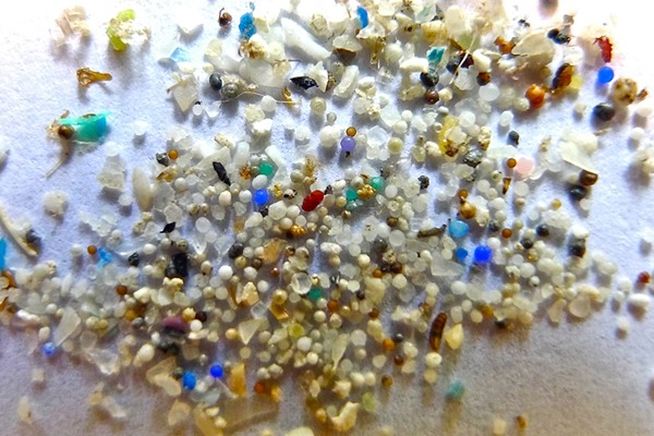 The US has already banned the use of beads smaller than 5mm in personal care products. Photograph: Oregon State University/Flickr