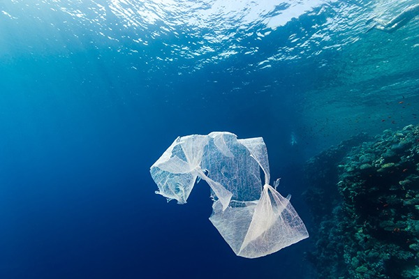 carrier bag floating in the sea