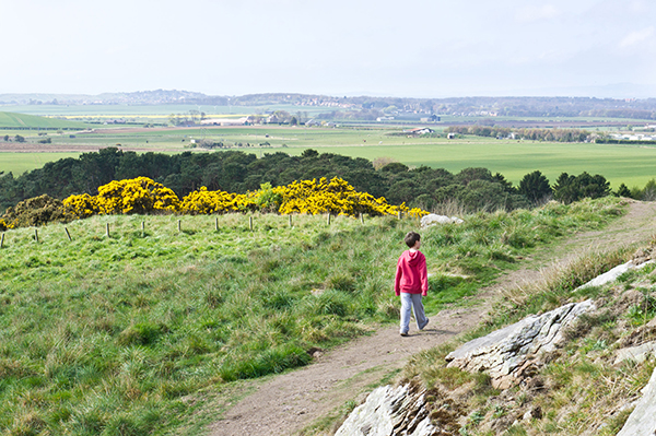 The Scottish government aims to have one million acres of land in community ownership by 2020. Photograph: Thomas Gowanlock/123RF