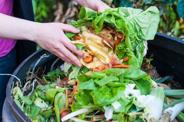 London households throw away an estimated 900,000 tonnes of food each year. Photograph: windsurfer62 / 123RF