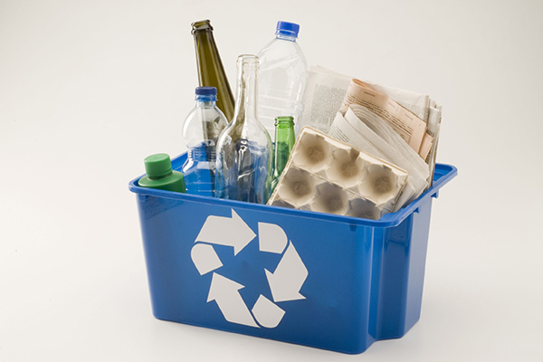 Respondents were were confused by how different councils collect waste in different coloured bins. Photograph: Patrick Hastings/123RF
