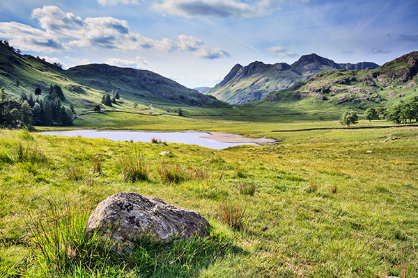 Government is keen to put a financial value on nature and its services. Photograph: Christopher Smith/123RF